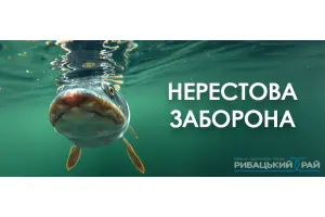 нерестовой запрет