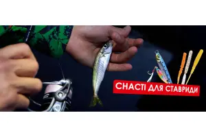 Ловля ставриды