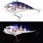 Воблер Vibe Valleyhill Giganoto 72S 27.0g 04
