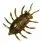Силикон FishUp Maybug 1.3"(5шт)036 caramel/green&black