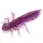 Силикон FishUp Dragonfly 0.75"(12шт)016 lox/green&black