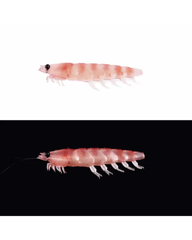 Силикон Daiwa Kaiteki Real Okiami Worm 3L(5)raw krill