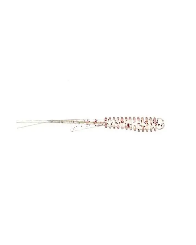 Силикон Berkley Sabiky 1.8"(8)CLRGL