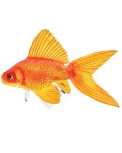 Подушка 3K Baits декор.Золотая рыбка(60*30cm)
