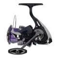 Катушка Daiwa 24 Prorex X LT 3000-C