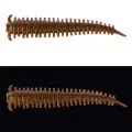 Силикон Berkley Gulp! SW Sandworm 2"(16шт)MO