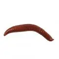 Силикон Berkley Gulp! Floating Pinched Crawler 1"(14)NC