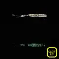 Силикон Owner Micro Worm MW-05 2.5"(8)26