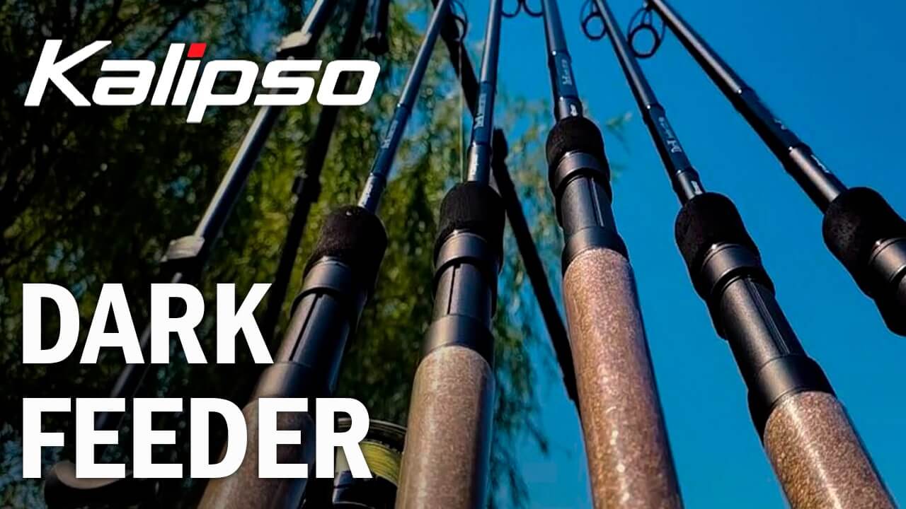 Dark feeder