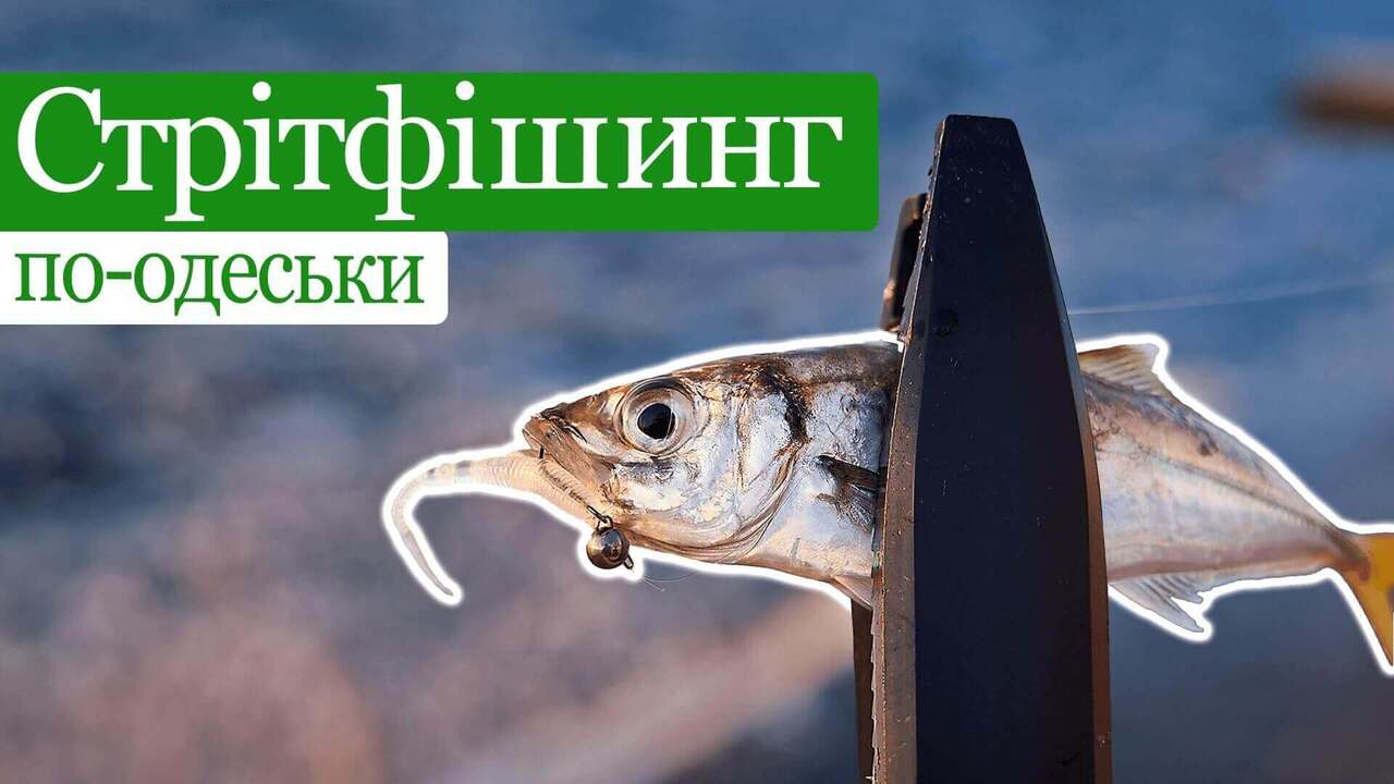 seafishing