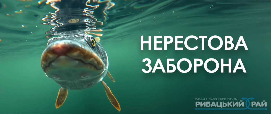 нерестовой запрет