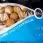 Бойли Crazy Carp Silver Hookbaits Soluble 24mm tiger nut&sweetcorn 1kg
