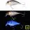 Воблер Jackall Chubby 38F 4.0g uv mat silver&black