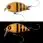 Воблер ZipBaits Hickory SSR 34F 3.4g 568