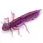Силікон FishUp Dragonfly 0.75"
