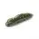 Силікон FishUp Pupa 0.9" (12шт) 110 dark olive