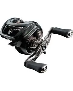 Котушка Daiwa 24 Steez SV TW 100HL