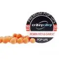 Бойли Crazy Carp Pop-ups Premium 10mm robin red&garlic(55)