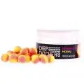 Бойли Carp Catchers Pop-up 10mm mulberry&honey(36)