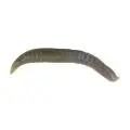Силікон Berkley Gulp! Pinched Crawler 1" (14шт) WMPR