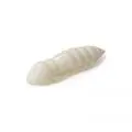 Силікон FishUp Pupa 1.2" (10шт) 009 white